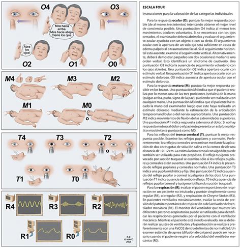 score traducir|to score in spanish.